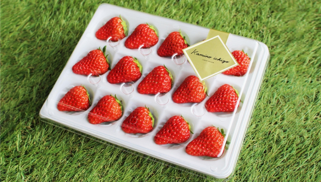 Jinseki Strawberry Farm Project